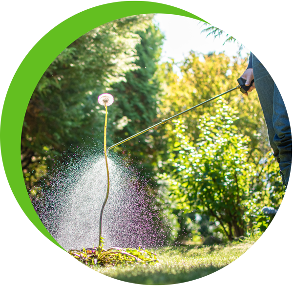 Residential Lawn Care Services Edmonton