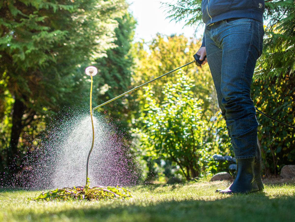 shutterstock_1650987559