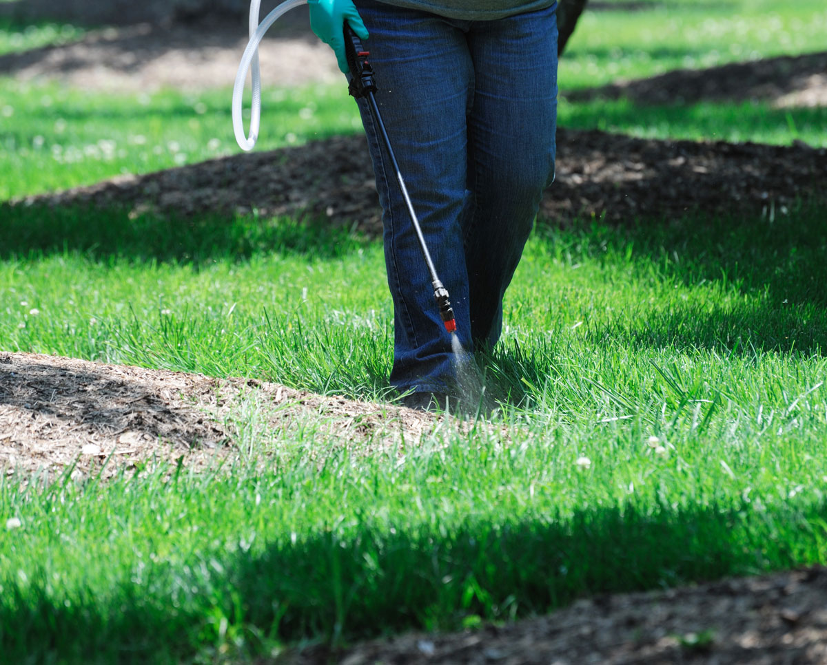 shutterstock_409293214